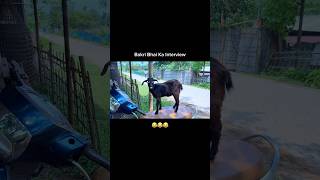 Bakri Bhai Ka Interview 😂 #shorts #funny #comedyvideos