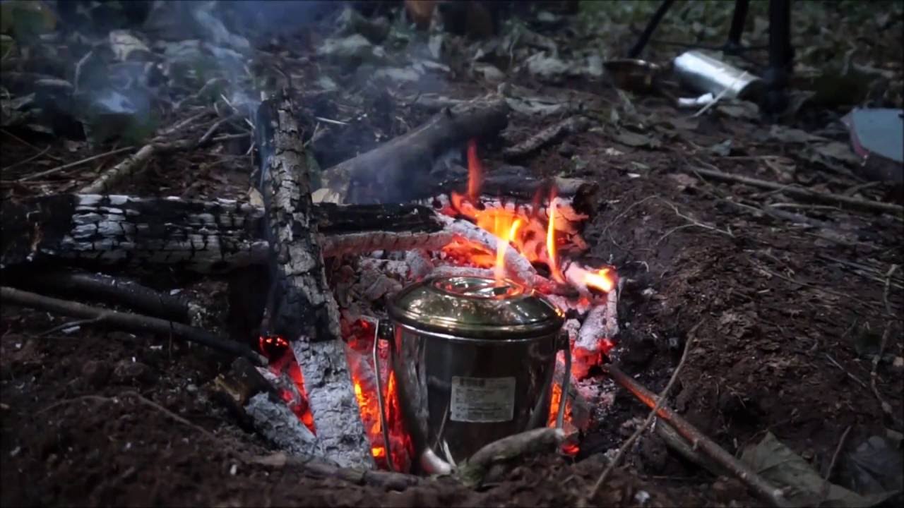 How To Make Wild Coffee (cleavers coffee) YouTube