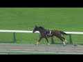 【安田記念2023】day 12R 【落馬・放馬】ある意味凄いスタミナ エリカコレクト 現地映像