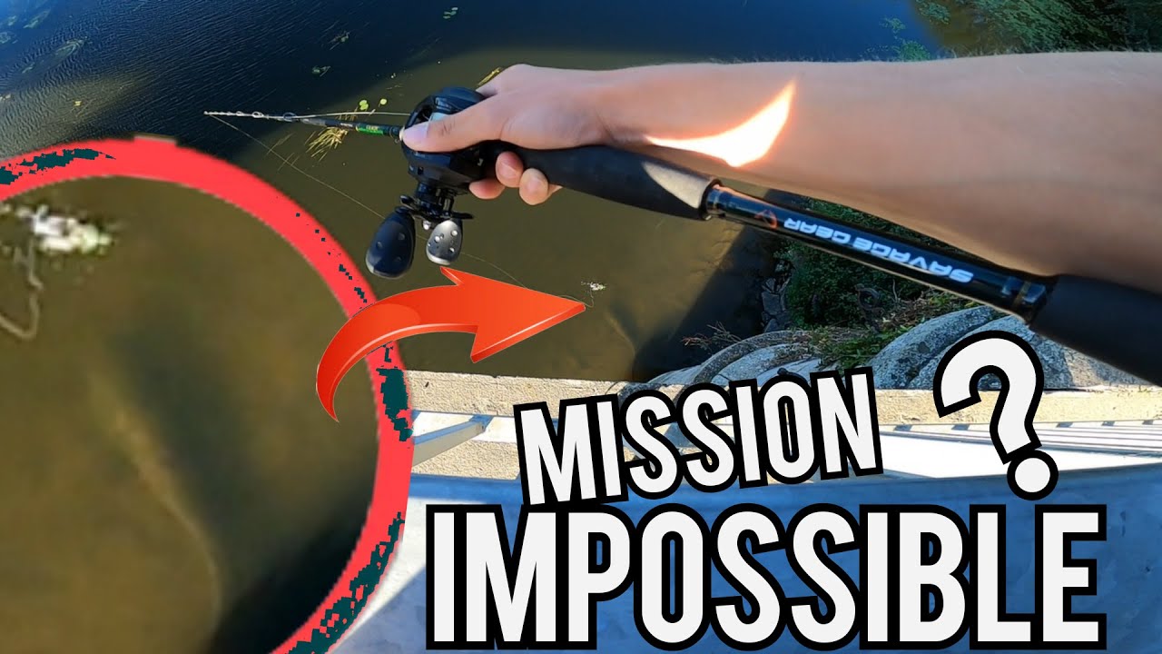 ÉNORME POISSON en haut d'un PONT, MISSION IMPOSSIBLE ?
