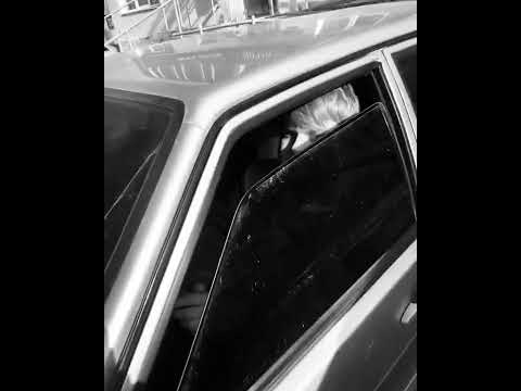 Биография 💎💎💎 #shorts #ваз #ваз2114 #автозвук #четырка #pride #сабвуфер #музыка #басс