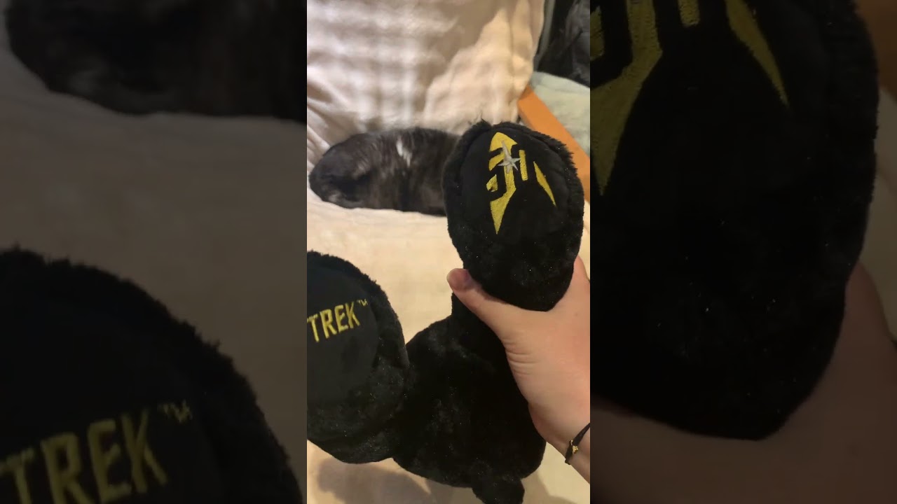 Build-A-Bear Star Trek Teddy Unboxing 🖖✨ | April 2016 Release