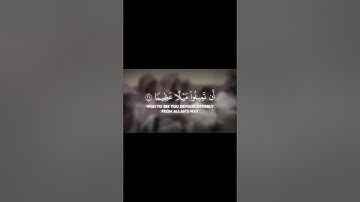 والله يريد أن يتوب عليكم ويريد الذين يتبعون الشهوات - سورة النساء - محمد اللحيدان