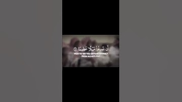 والله يريد أن يتوب عليكم ويريد الذين يتبعون الشهوات - سورة النساء - محمد اللحيدان