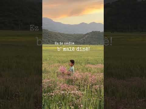 Faraj Darwish Ez Te Nadim Bi Male Dinê Baranaa Dil Explore Kurdmusic Kurdm Kurdish