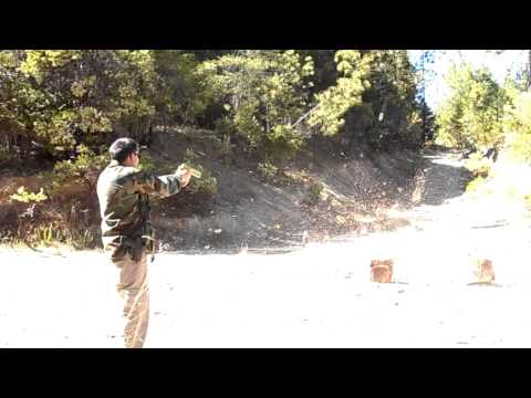 .50 Desert Eagle vs Watermelon