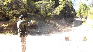 .50 Desert Eagle vs Watermelon