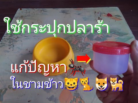 วิธีไม่ให้มดขึ้นชามข้าวน้องหมาน้องแมว Diyชามเข้าน้องหมาน้องแมว By ไข่ต้มTV GooTube