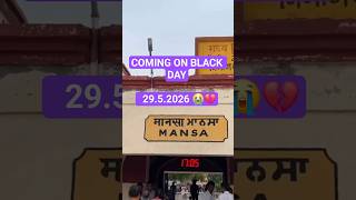 🔥😎 #sidhumoosewala#moosewala#sidhu#sidhumoosewalafans#295#panjab#5911#viral #shorts #mansa#trending