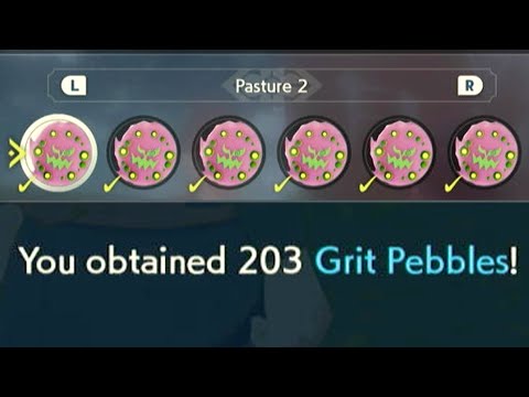 releasing 509 pokemon at once
