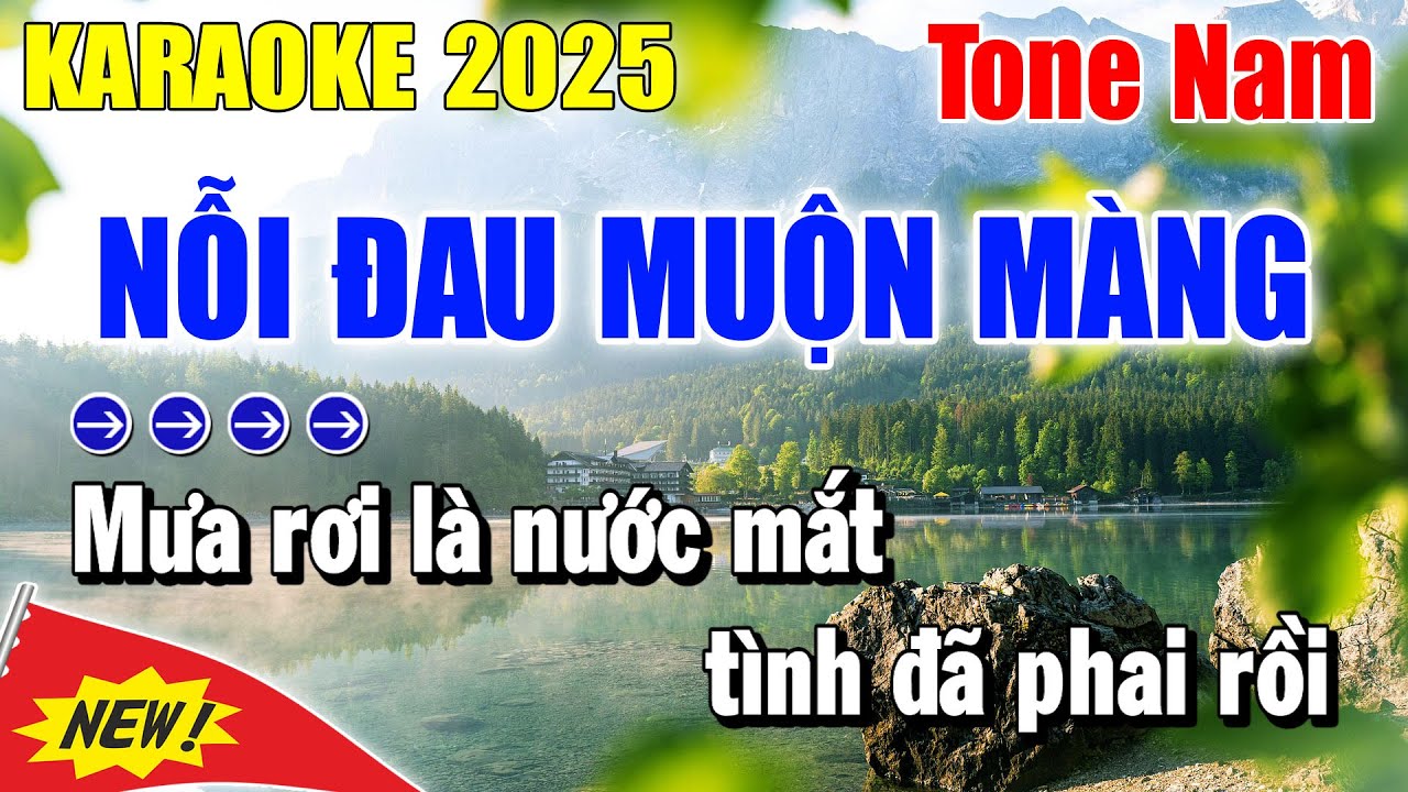 Karaoke Nỗi Đau Muộn Màng Tone Nam ( Beat Mới 2025 ) Karaoke Thanh Duy