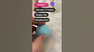 Smart Rotating Ball For Cats Features By Blue Abyssinian #Shorts Part 2