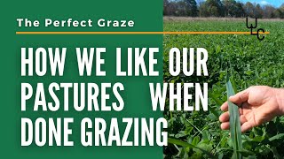 The Perfect Graze. How a pasture should look when done grazing.