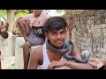 Mere dost ne apne gale mein pahena king cobra 🐍 #virl #vlog