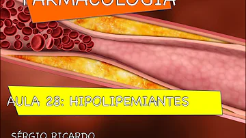 Qual o principal objetivo do uso associado a estatina com prática de exercício físico em pessoas Dislipidêmicas?