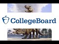 u/dinosauce313 and How CollegeBoard is Handling Cheating, Glitches