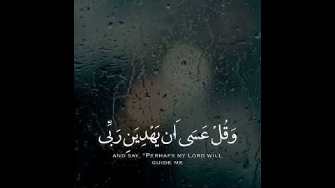 سورة الكهف الآية 24