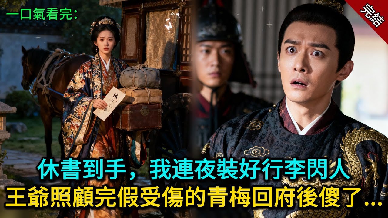休書到手，我連夜裝好行李閃人，王爺照顧完假受傷的青梅回府後傻了......