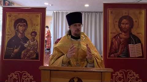 24th Sunday after Pentecost. (November 23/November 10, 2025)- The Good Samaritan