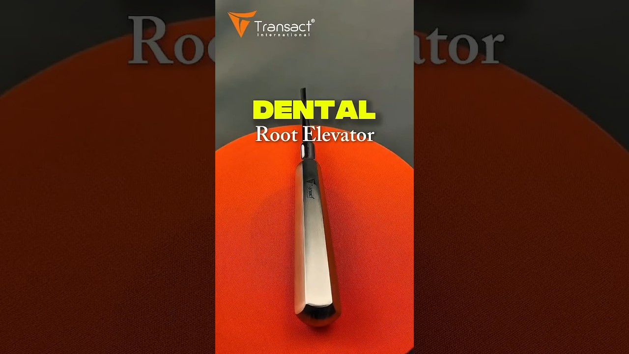 Premium Dental Root Elevator | Stainless Steel | Transact International 