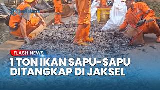 In One Hour, More Than 1 Ton of Sucker Fish Caught in Setu Babakan, South Jakarta