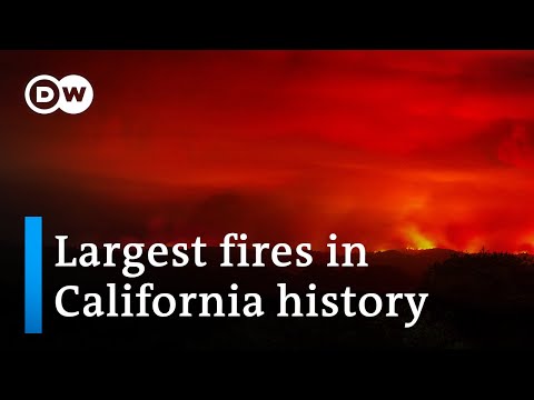 वीडियो: क्या हील्सबर्ग कैलिफ़ोर्निया को खाली करा लिया गया है?