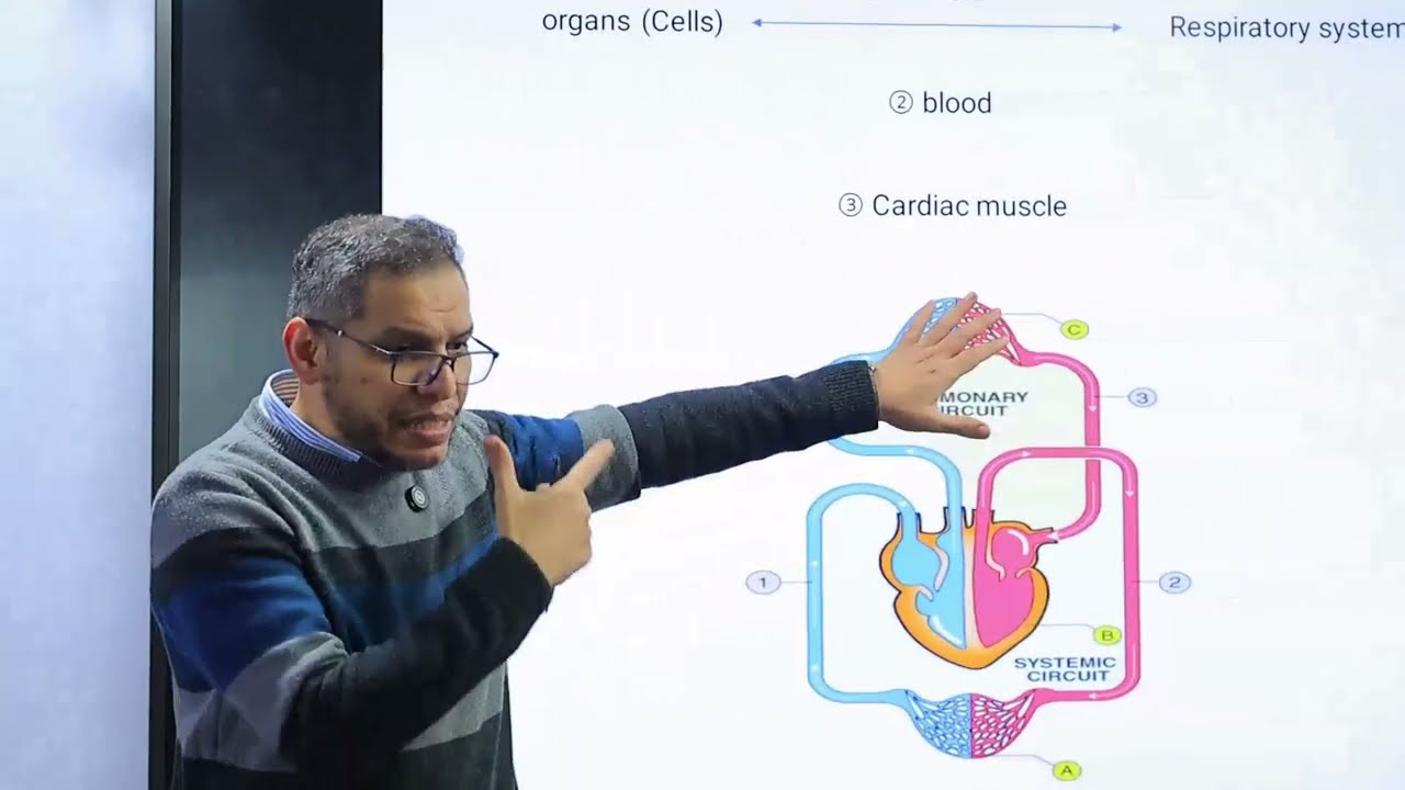 lec 1  Physiology  104  Dr. Mohamed Maher