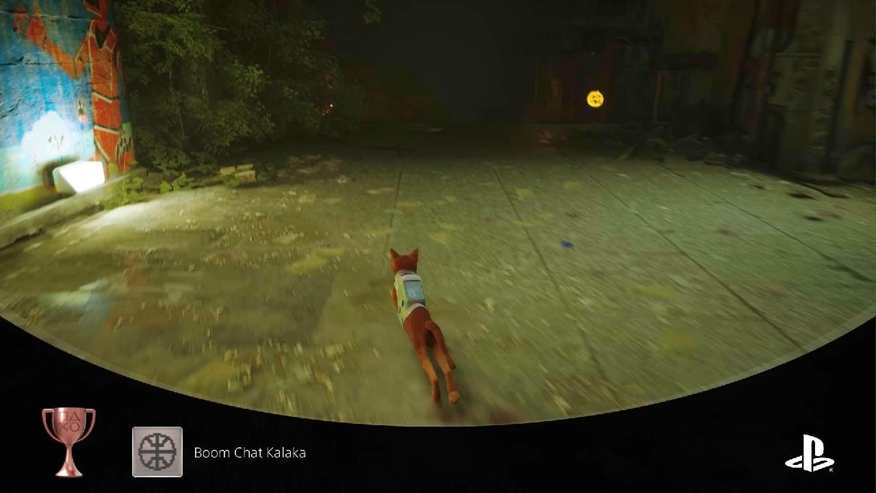 Boom Chat Kalaka trophy - Stray