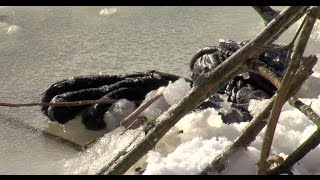 Akron Canal Rescue