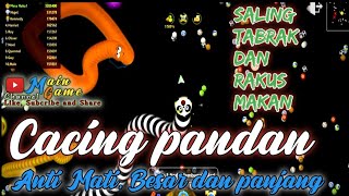 Cacing anti mati, cepat besar dan panjang || worm zone.io || Main Game Channel screenshot 3