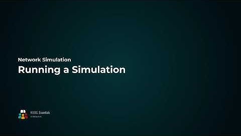 H.I.V.E. Network: Running a Simulation