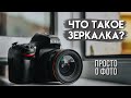 Все что нужно знать о зеркальном фотоппарате О Зеркалке просто [Nikon d600]