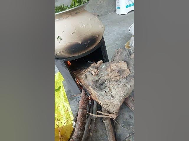 new punjabi viral videos #punjabisong #newsong #punjabimusic #automobile #love #youtube #cow #funny