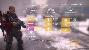 The Division DPS BUG