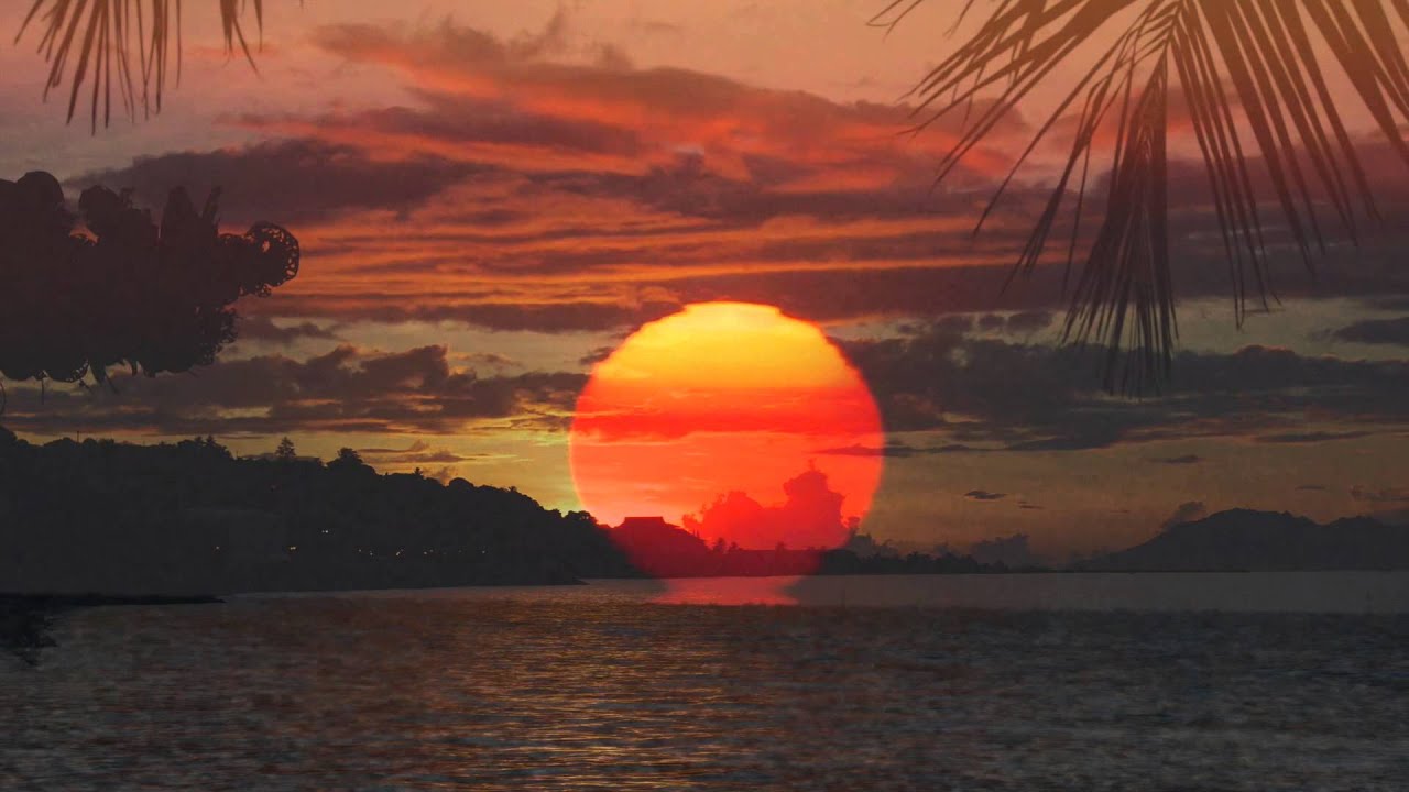 Aluminium Arm by Patrick Wass