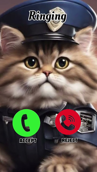 Police siren call effect 🤙😎🤙😎 #police #emergency #firefighter #automobile #ambulance #cat #ringtone