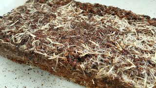 Take wood fibers out of coco coir