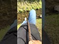 気が狂ったヘビ #shorts
