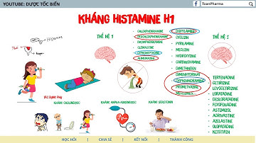 Thuốc Kháng Histamin, Dược Lý Các Thuốc Antihistamine-Dược Tốc Biến