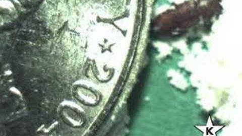 Checking flour for bugs