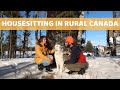 A Day In The Life Of A Housesitter - Rural Canada