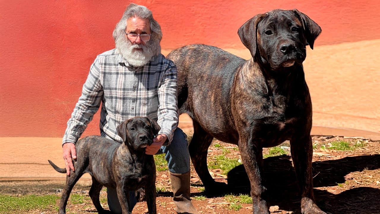 La ética y la conciencia del criador de Presa Canario