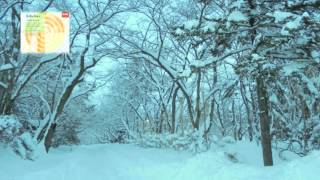交響曲第6番