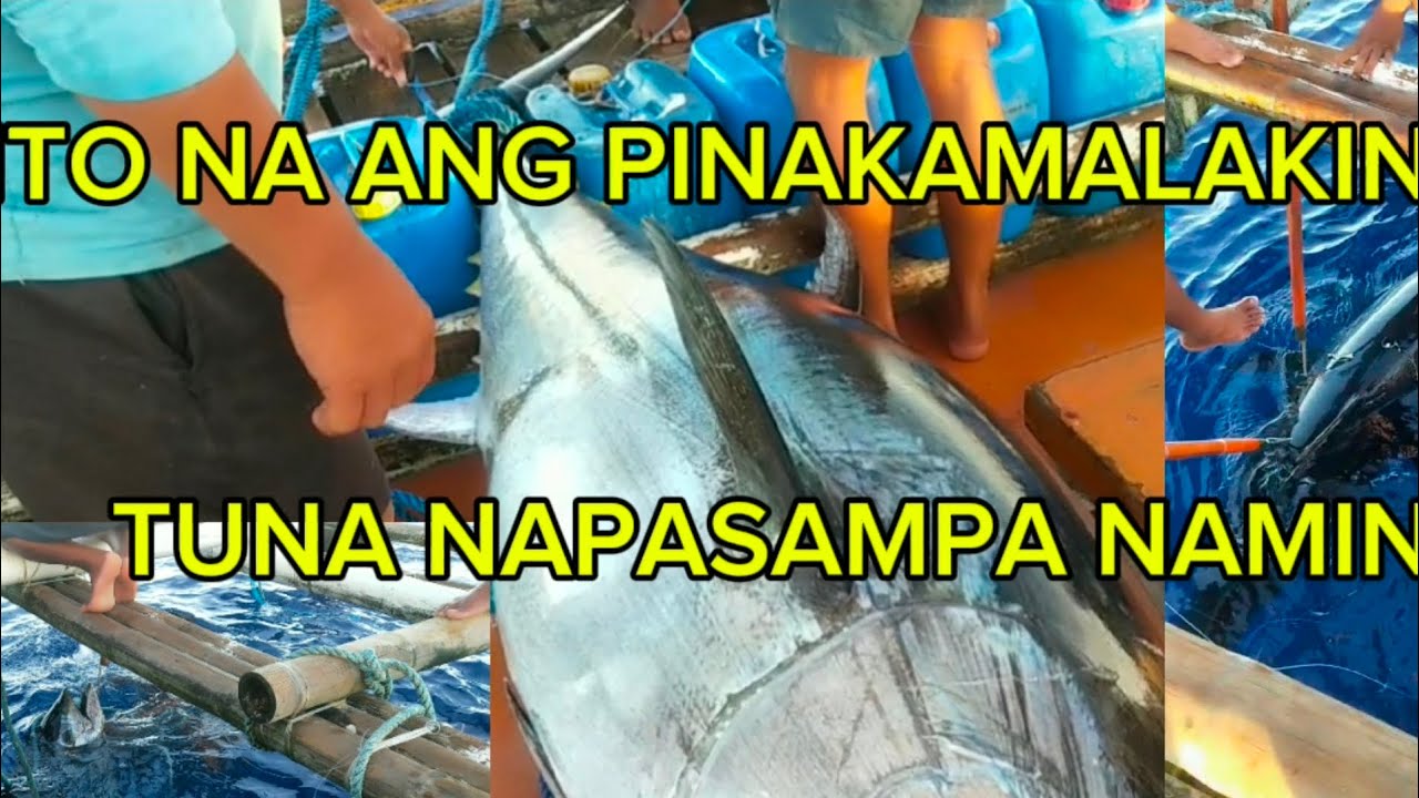 Ep11day9//200+KELOS 20K LANG ANG KABAYARAN//TAN-TV