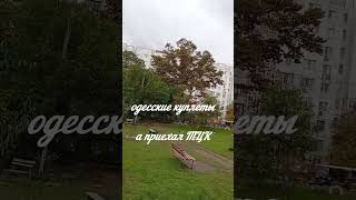 А приехал ТЦК! #одесскаяпесня #шансон #блатнаяпесня #russianmusic #shorts #музыка #блатнаямузыка