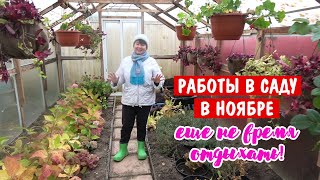 картинка: Что еще МОЖНО и НУЖНО делать в саду в ноябре.
