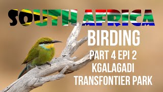South Africa Birding Part 4 Kgalagadi Transfontier Park Epi 2