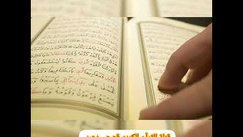 تلاوة هادئه بصوت جميل من أجمل التلاوات لتهدئة الأعصاب للقارئ زيد الزبيدي - جزء عم