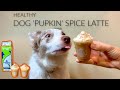 MAKING DOG PUMPKIN SPICE LATTES