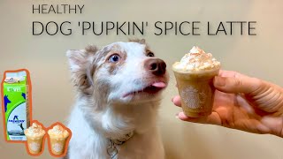 MAKING DOG PUMPKIN SPICE LATTES by Maddie Smith 2,784 views 4 years ago 11 minutes, 22 seconds